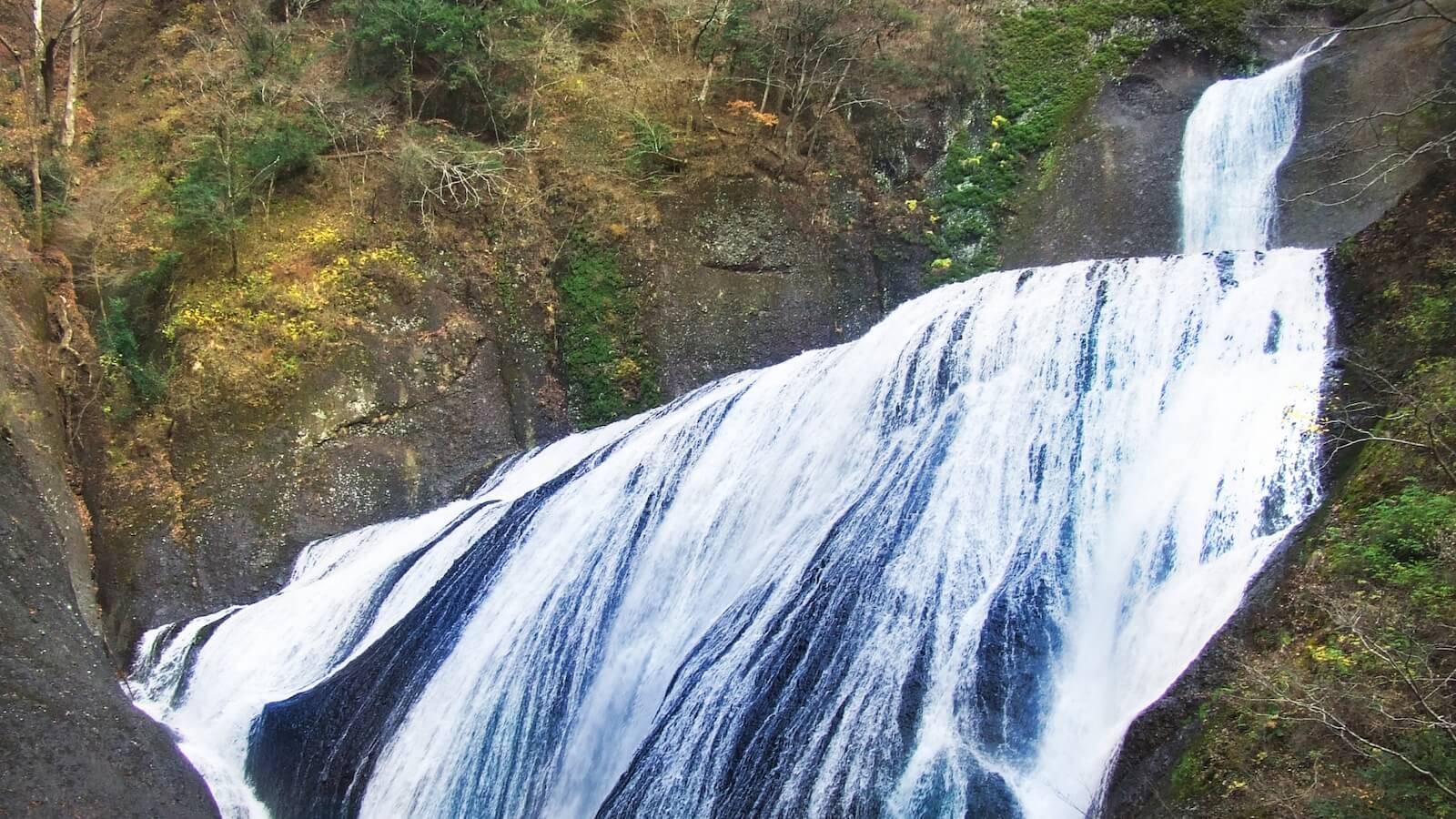 茨城県の免許返納（卒免）支援・特典