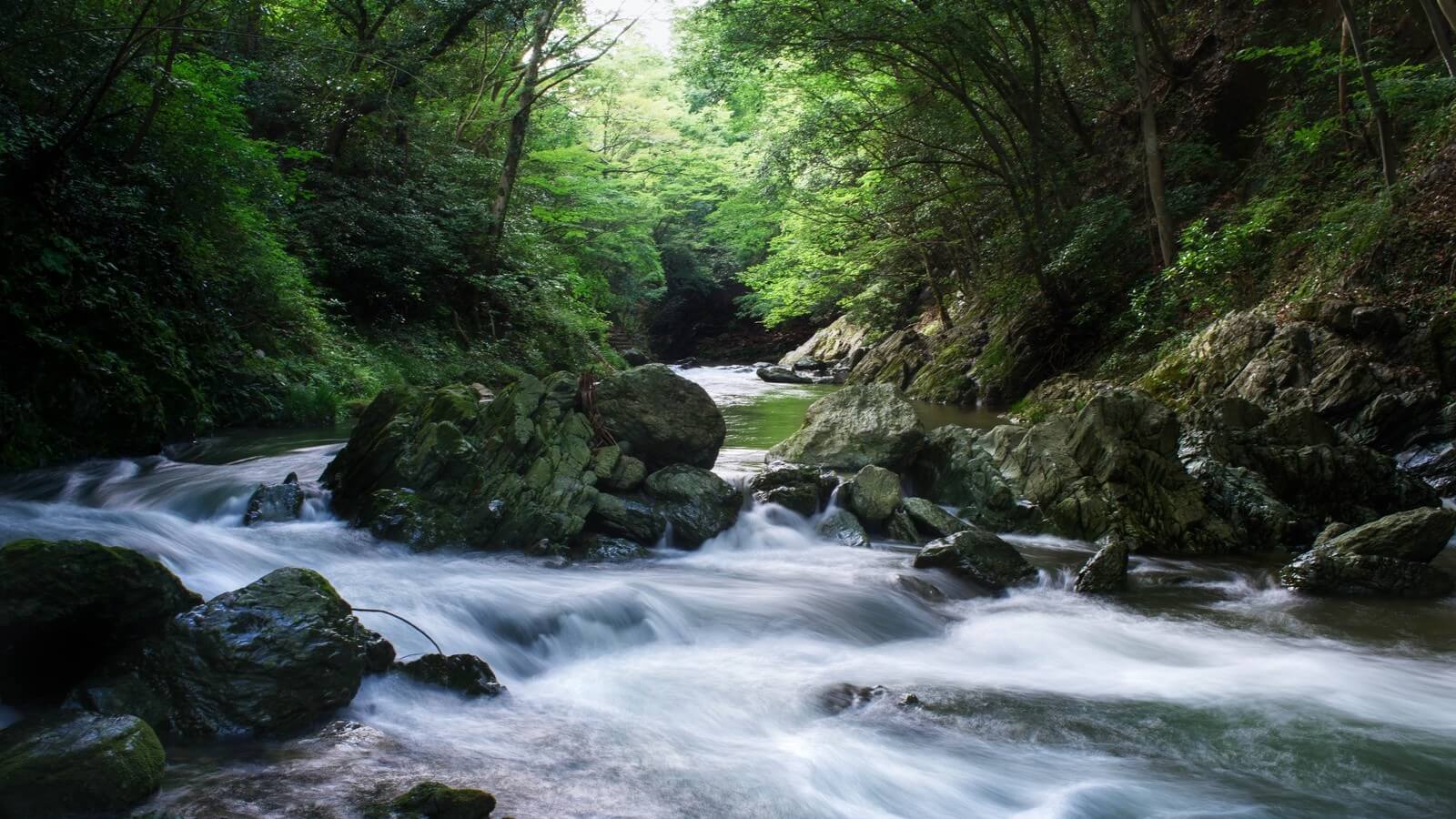 埼玉県の免許返納（卒免）支援・特典